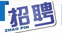岱岳區(qū)政務(wù)服務(wù)中心招人啦！大專以上學(xué)歷，即日起報名